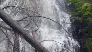 Curvy Nixie leak EXPOSED