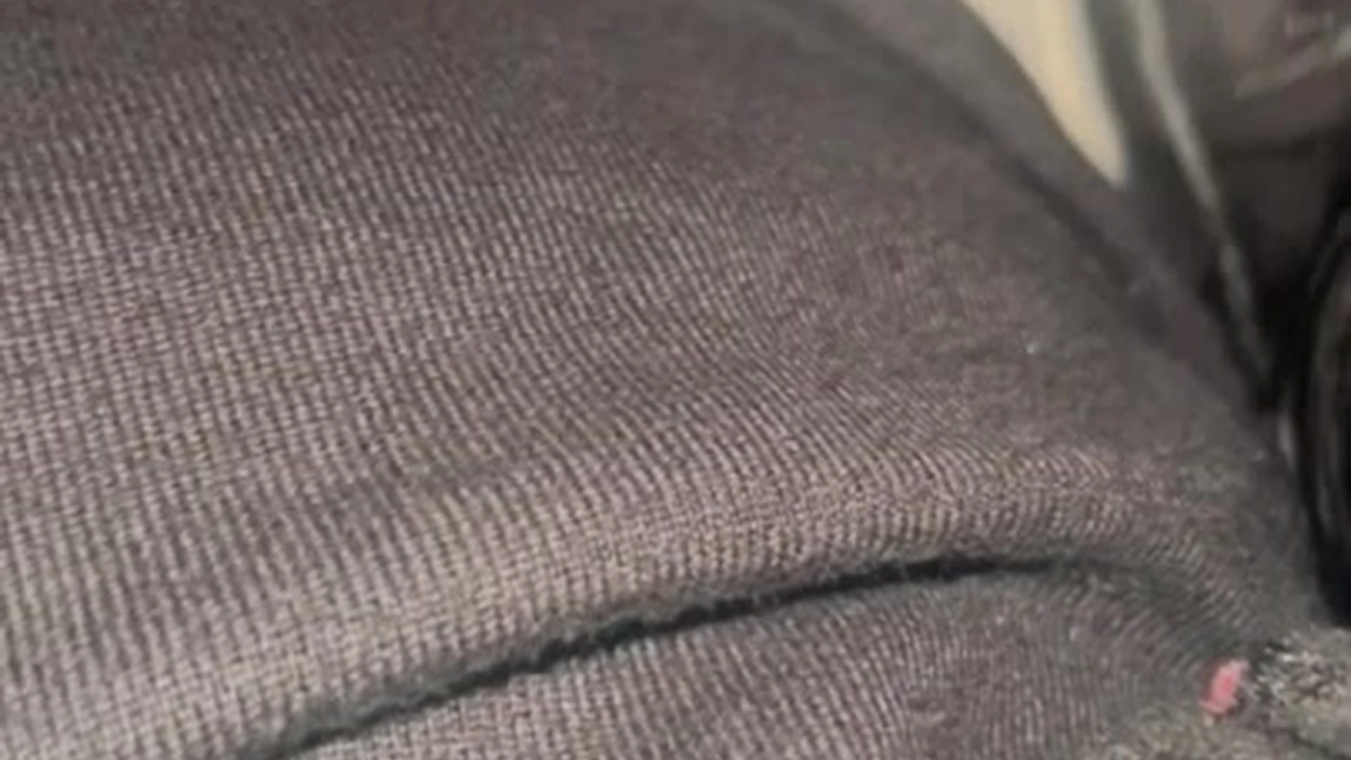 Exposed Erotic Nympho Latin Michelle Rabbit give away free vid